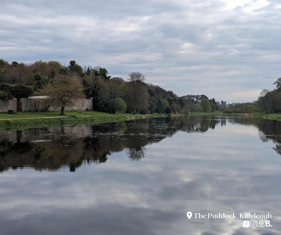 The Paddock Apartment Killyleagh Exterior photo