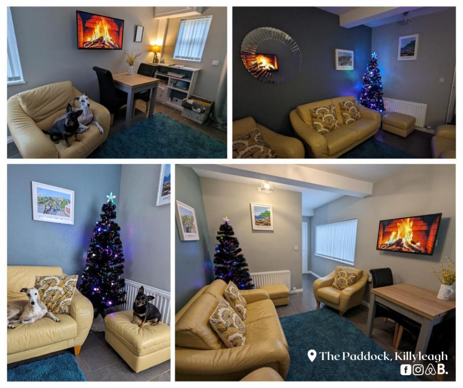 The Paddock Apartment Killyleagh Exterior photo